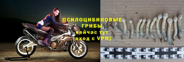 MESCALINE Елабуга