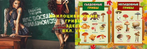 ALPHA PVP Елизово