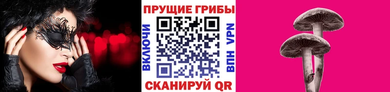 ОМГ ОМГ зеркало  где купить наркотик  Щучье  Галлюциногенные грибы Psilocybine cubensis 