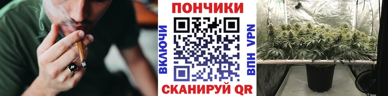 Бошки марихуана THC 21% что такое Щучье